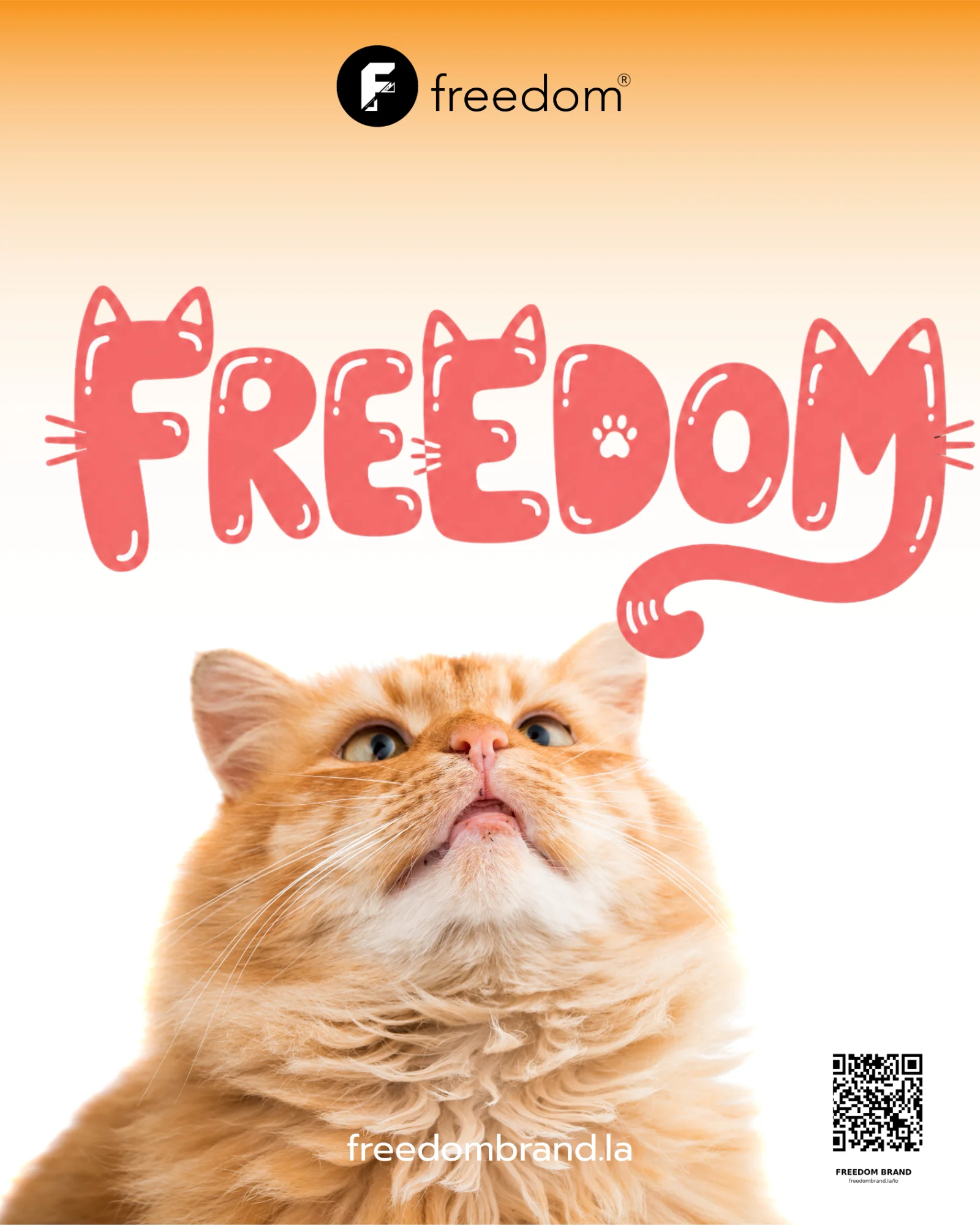 FREEDOM smile club projects 