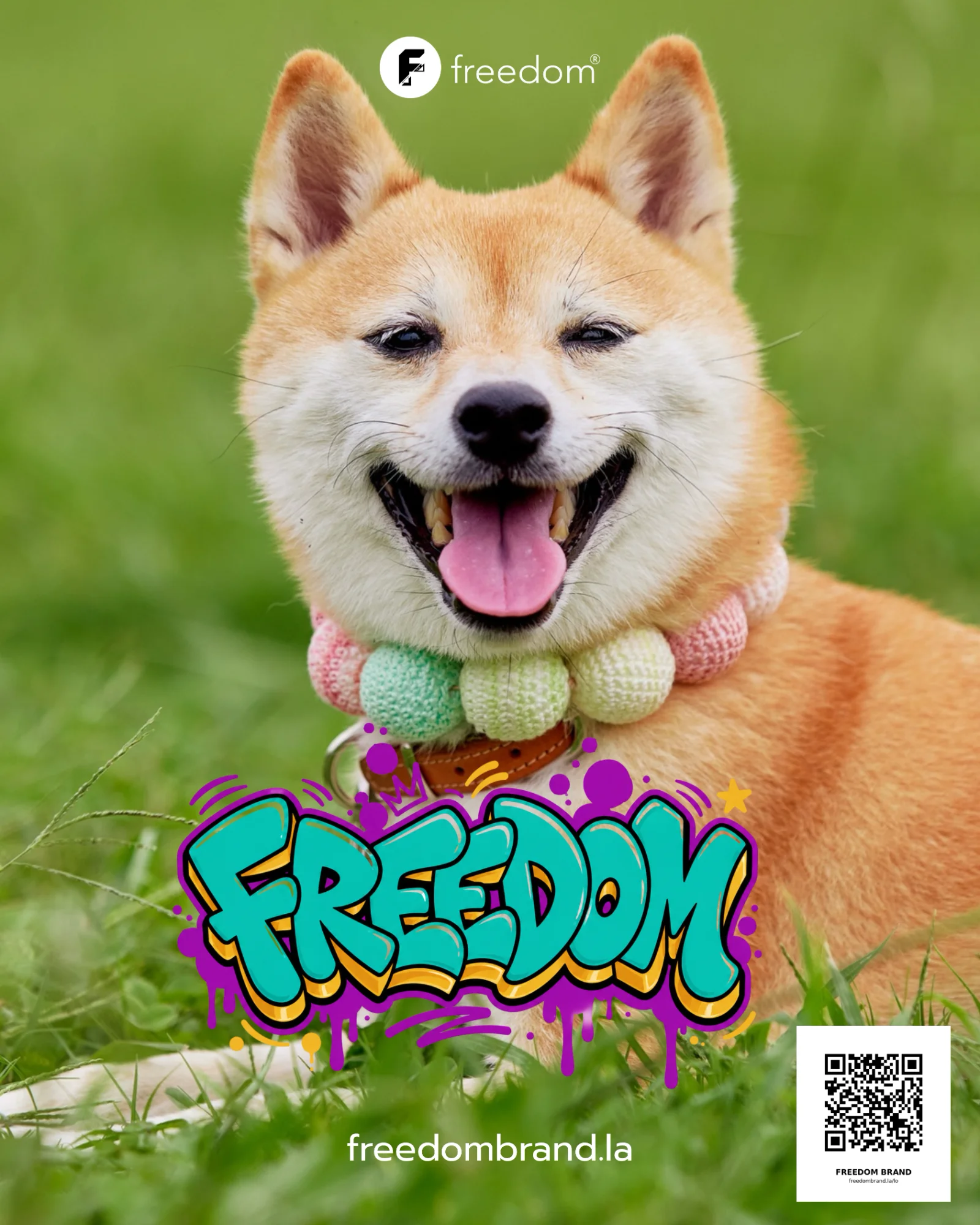 FREEDOM smile club projects 