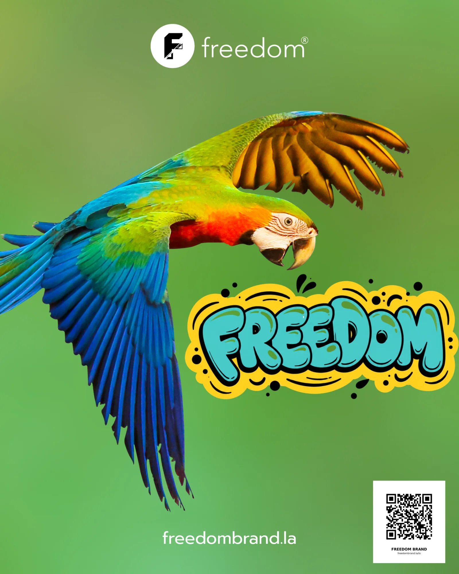 FREEDOM smile club projects 